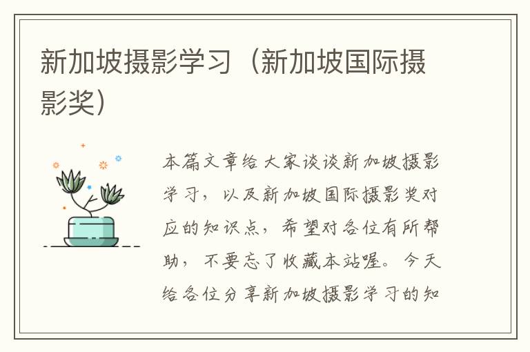 新加坡摄影学习（新加坡国际摄影奖）