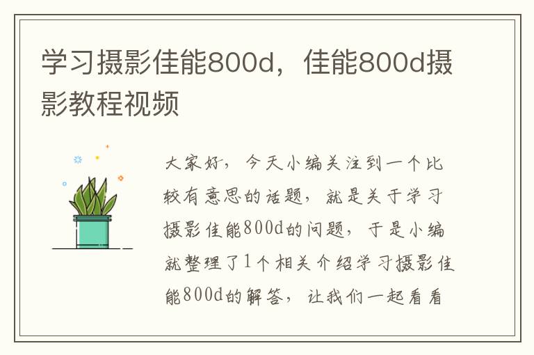 学习摄影佳能800d，佳能800d摄影教程视频