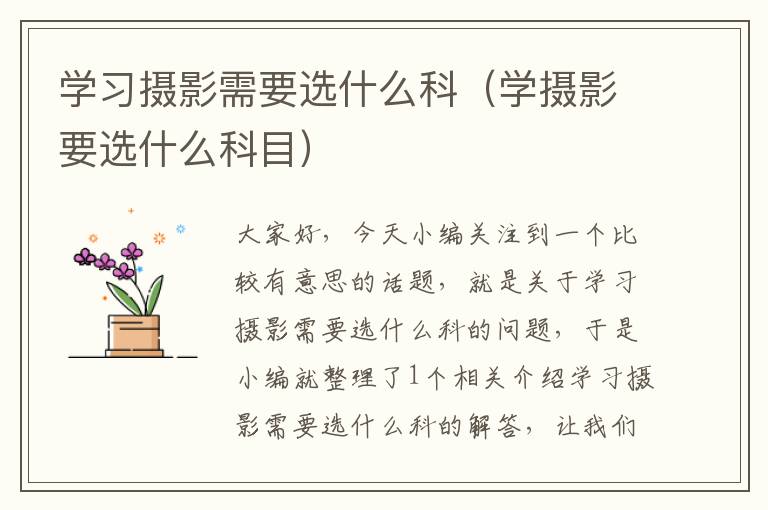 学习摄影需要选什么科（学摄影要选什么科目）