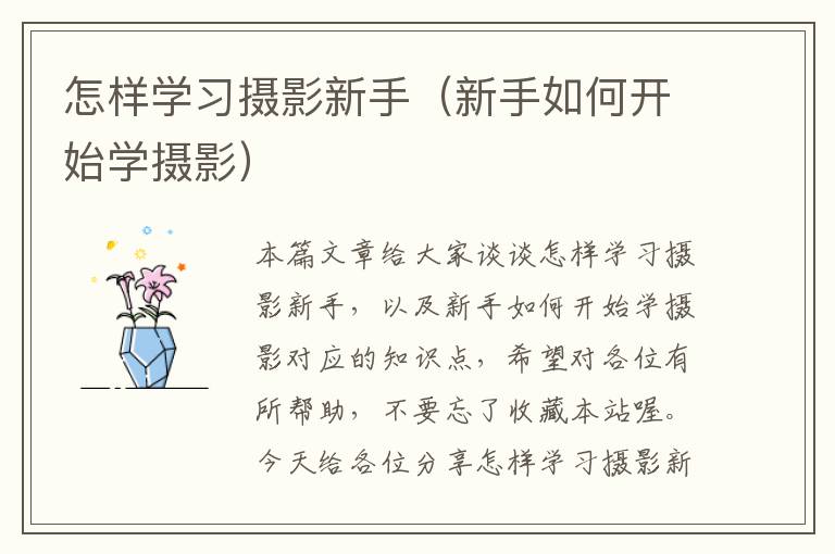 怎样学习摄影新手（新手如何开始学摄影）