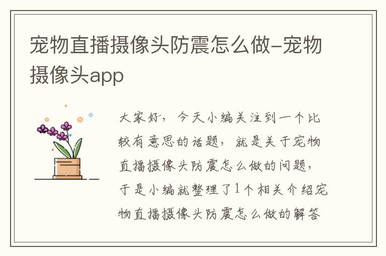 宠物直播摄像头防震怎么做-宠物摄像头app