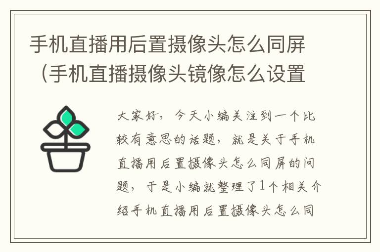 手机直播用后置摄像头怎么同屏（手机直播摄像头镜像怎么设置）