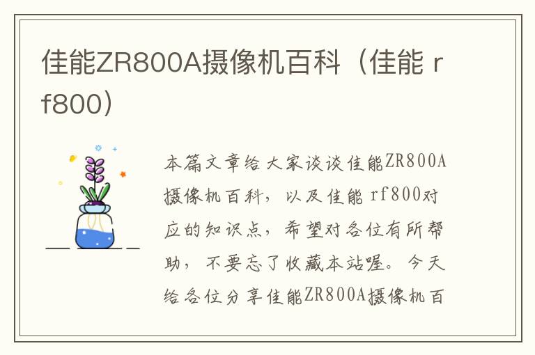 佳能ZR800A摄像机百科（佳能 rf800）