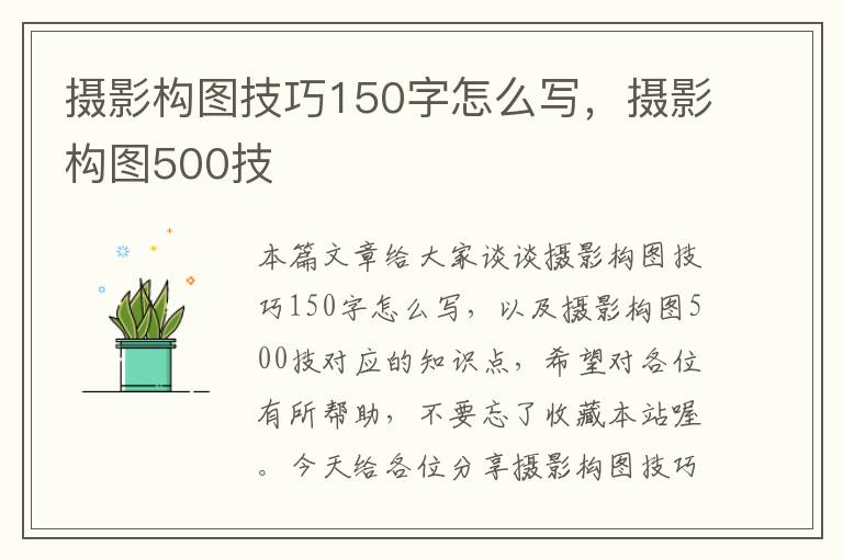 摄影构图技巧150字怎么写，摄影构图500技