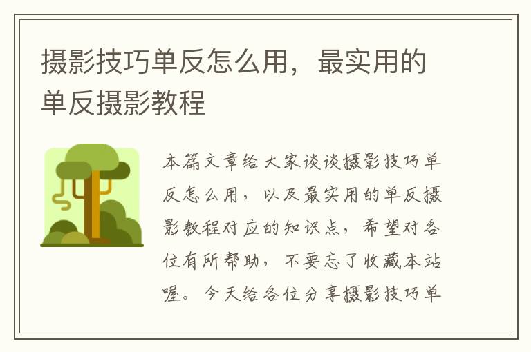 摄影技巧单反怎么用，最实用的单反摄影教程