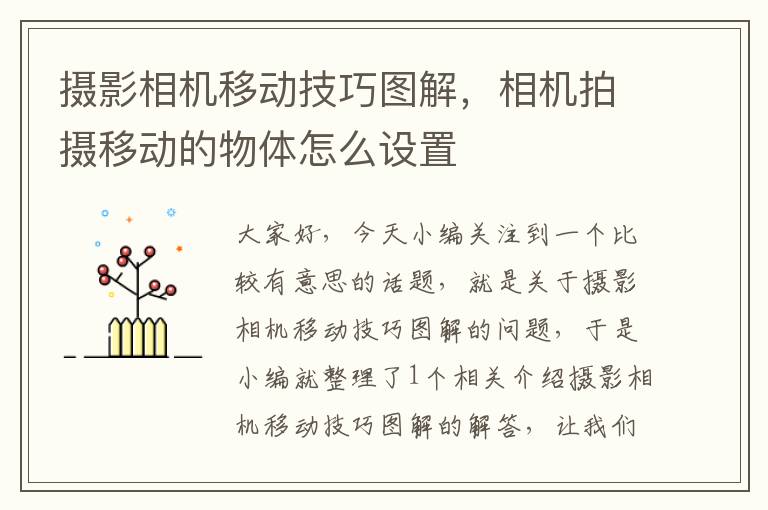 摄影相机移动技巧图解，相机拍摄移动的物体怎么设置