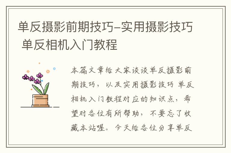 单反摄影前期技巧-实用摄影技巧 单反相机入门教程