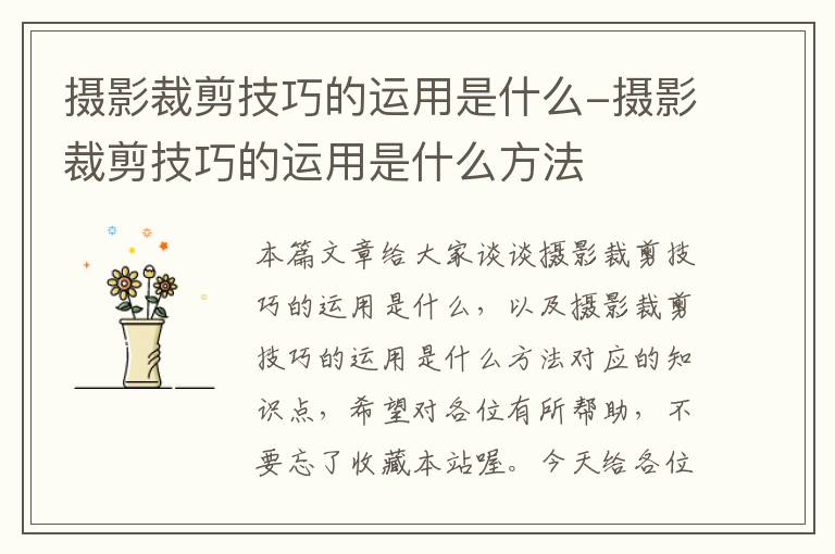 摄影裁剪技巧的运用是什么-摄影裁剪技巧的运用是什么方法