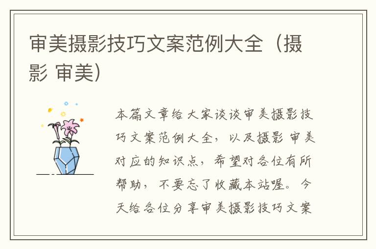 审美摄影技巧文案范例大全（摄影 审美）