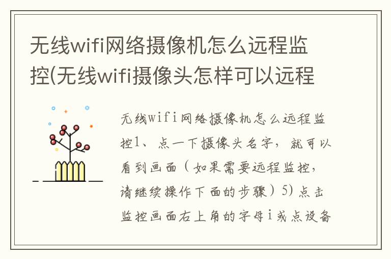 无线wifi网络摄像机怎么远程监控(无线wifi摄像头怎样可以远程监控)